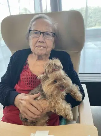 6e3a1714-8569-42dd-b5f7-3ea1042a6a41