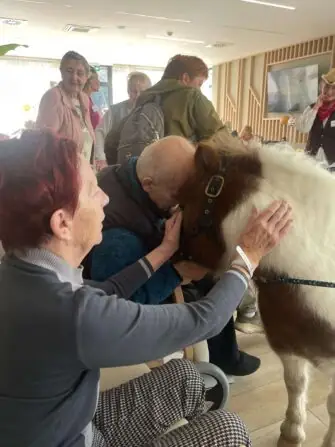 71c0f00d-6555-490d-8849-ea5cfdb7ecf0