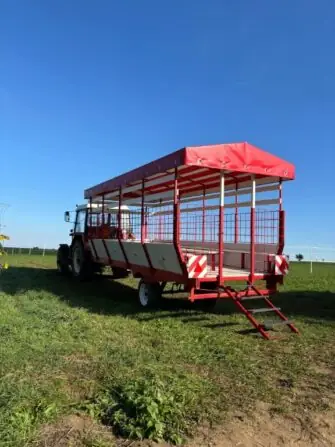 7abb7590-055b-4837-92df-8fb16b638d82