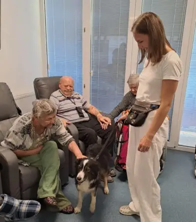 7d57ce2e-9cba-4a98-bb3e-fb76ba1dbfad