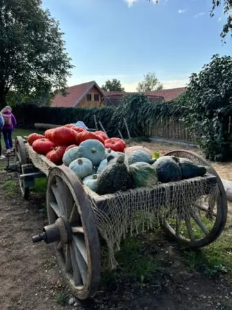 82ae9ca3-4592-49bc-ac52-82f21173e8b7