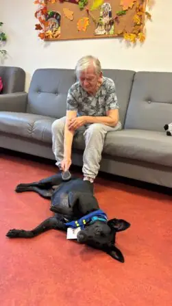 Obrázek WhatsApp, 2025-09-26 v 04.32.48_7ac7c190