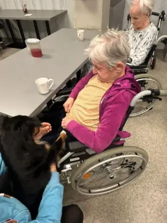 Obrázek WhatsApp, 2025-10-27 v 12.17.29_95679c49