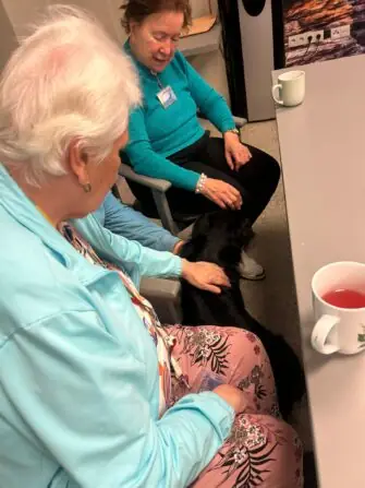 Obrázek WhatsApp, 2025-10-27 v 12.17.29_c8eb90bb