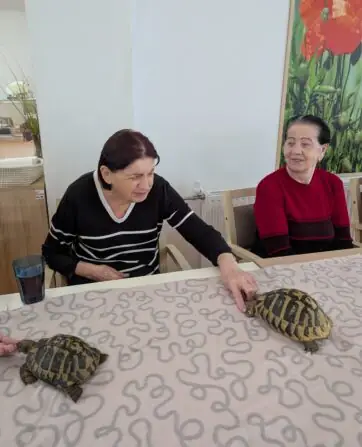 PXL_20251010_081821516