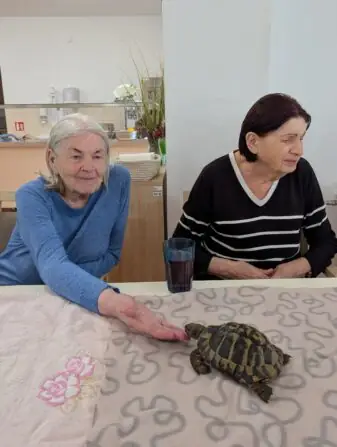 PXL_20251010_081826066