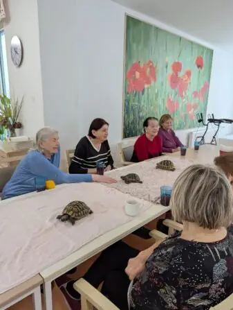 PXL_20251010_081837145