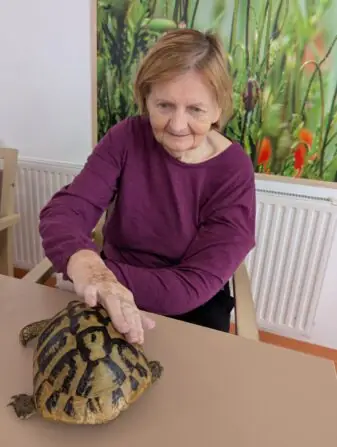 PXL_20251010_082351999