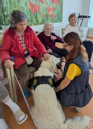 PXL_20251015_082122972