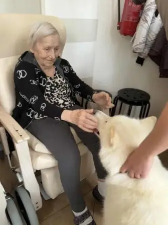 a0e7abc2-ee9e-4b91-af1d-564bffa0bb98