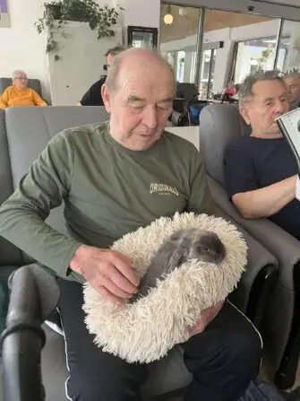 a2fb0de2-9cc1-4d3a-b7dd-c2a2d9af2efb