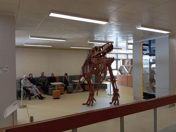 bee42cb3-e530-436c-99f7-a870715e76df