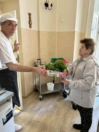 bylinky sklizeň (5)