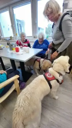 c29239d2-b119-4beb-ad9c-aa2e0a4ca37a (1)