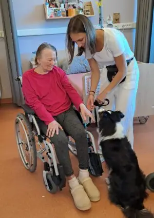 c2b50dc1-12a0-405f-9a1f-b4b2ba1854e5