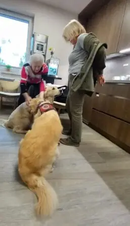 d56ea02a-40f2-4ea6-8653-85bbeefd588e (1)