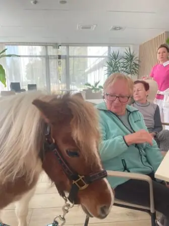 dc275921-7f16-4b90-8bb7-1536acf18aac