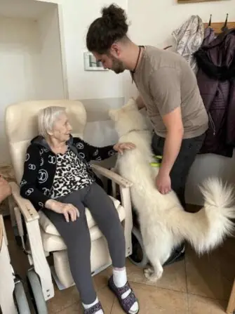 dc5f1a24-9460-4237-931b-22735bbf59aa