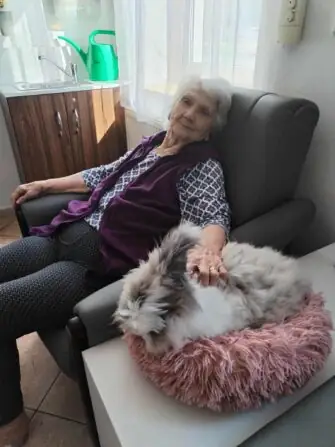 e8382554-2796-4d68-939f-3cc39f5c7053