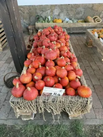 fa36349c-02c8-4d50-8a4f-f7b80ce79193