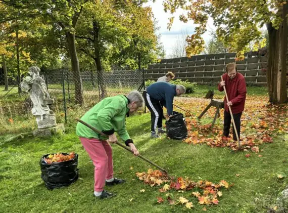 hrabání listí (2)