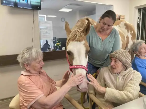 0b489f34-11ea-400d-8015-e2922574918f