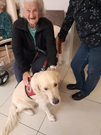 0ed8e642-ab34-4c68-9f0f-f5ccf01d1704