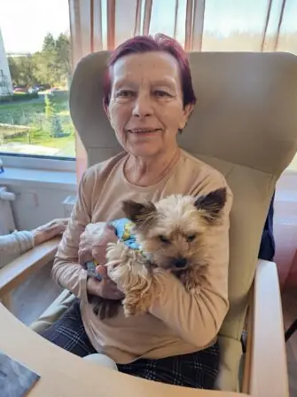 222c0fb4-68fe-408e-864a-b57f04c0ce7a