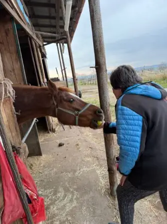 8f07c372-84d2-4706-8cfd-6b15153d3de7