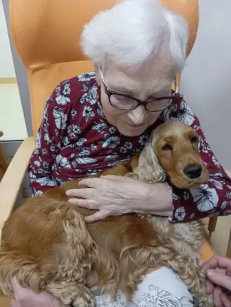 912746dd-d896-4ed3-8fc3-143a95ebb9ed