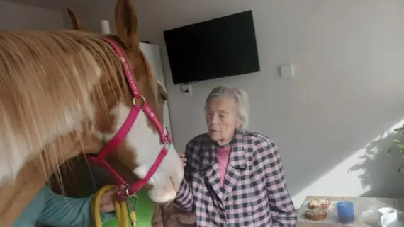 943d5cd5-41fd-481d-ac12-8219317b4332