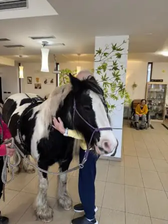 IMG-20251118-WA0005(1)