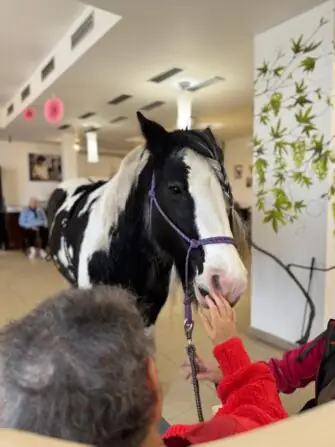 IMG-20251118-WA0006(1)