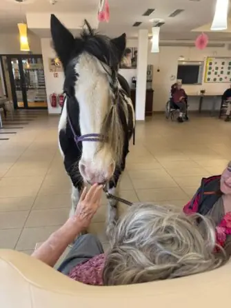 IMG-20251118-WA0008(1)