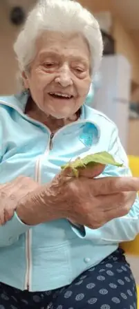 Obrázek WhatsApp, 2025-10-09 v 15.27.11_3d9eb37a