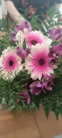 Obrázek WhatsApp, 2025-10-31 v 14.14.18_0287329f