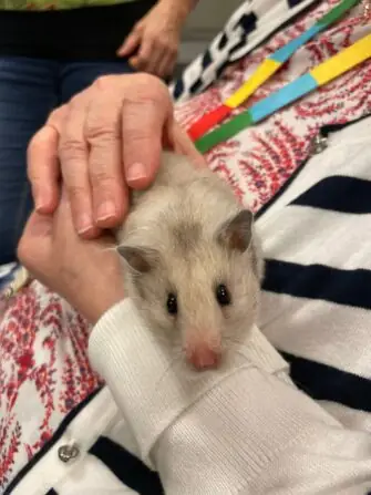 WhatsApp Image 2025-11-25 at 11.22.06