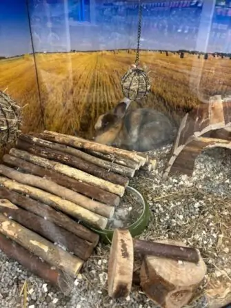 a38a65f9-dfbf-4ac7-b8af-4c90990f76ef