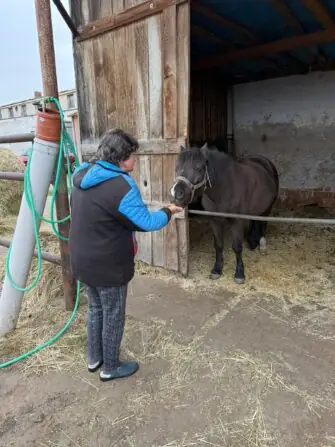 b188a823-9597-4586-bba5-dac696229a5c