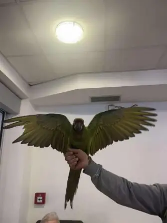 ba6010a9-1188-405e-987a-3645d1d9f4ef