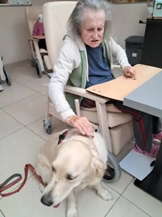 bbad595e-d40e-47e2-8dee-544e6e087a7f