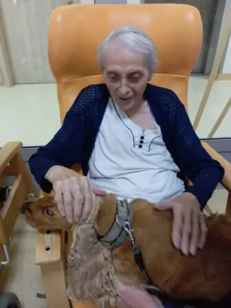 bbe0d8a1-794b-4a98-b342-fc326c8e7872