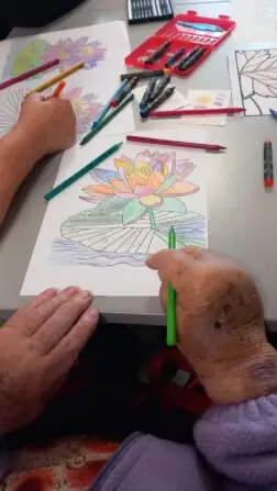 c85b15cb-c259-45a8-b01d-65b8023fece2