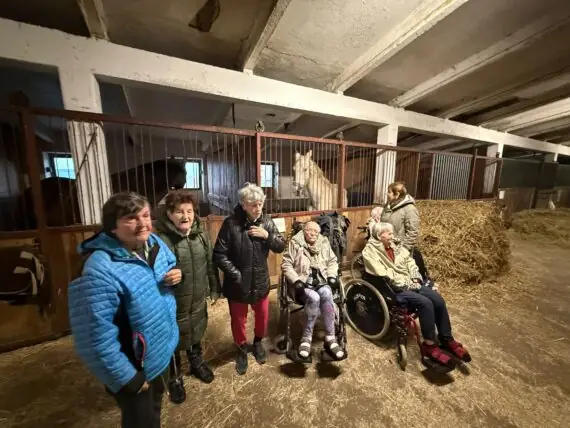 d23545af-3778-498b-880c-da779b445f08