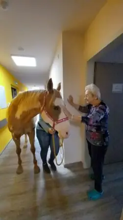 e090659b-de7e-4fee-9ea6-785b676857da