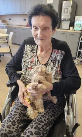 e98ebd5b-800d-4d49-8c08-5e4e5d7045b8