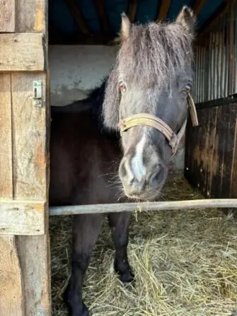 fdff76db-642b-461e-9f92-4754c091bb0f