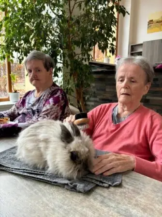 1048e451-3c4a-4b56-8cfe-a816f49526c7