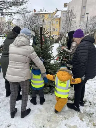 7fae95d0-708b-4224-a17d-8ea8ad473016