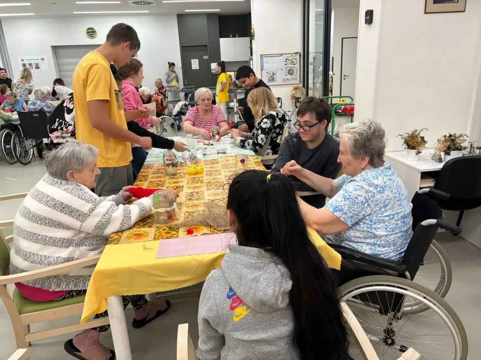 Senevida Hradec Králové - aktivizační činnost